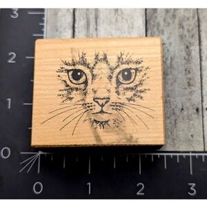 PSX Designs Cat Kitty Face E951 1999 Rubber Stamp Wood #i6